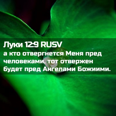 Picture 02 - Луки 12:9 RUSV - а кто отвергнется Меня - Bible Verse Picture