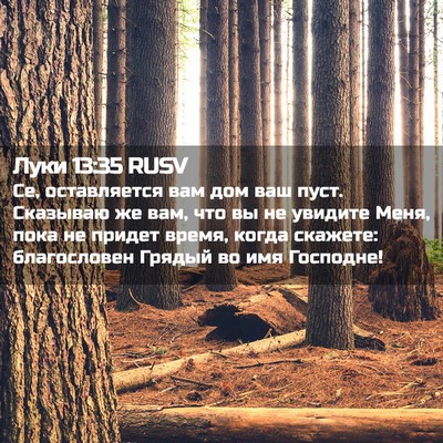 Picture 02 - Луки 13:35 RUSV - Се, оставляется вам дом ваш - Bible Verse Picture