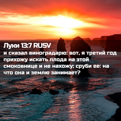 Picture 02 - Луки 13:7 RUSV - и сказал виноградарю: вот, - Bible Verse Picture