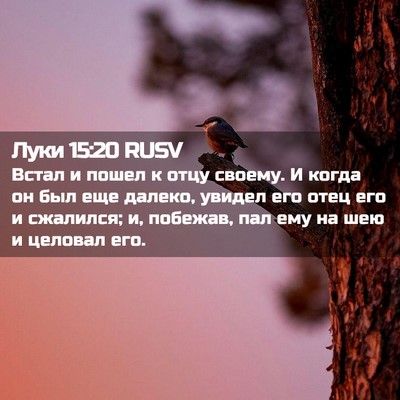 Picture 02 - Луки 15:20 RUSV - Встал и пошел к отцу - Bible Verse Picture