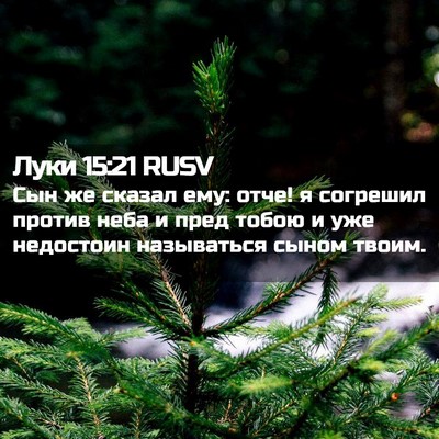 Picture 02 - Луки 15:21 RUSV - Сын же сказал ему: отче! я - Bible Verse Picture