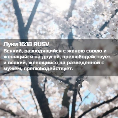 Picture 02 - Луки 16:18 RUSV - Всякий, разводящийся с - Bible Verse Picture