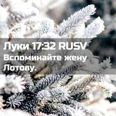 Picture 02 - Луки 17:32 RUSV - Вспоминайте жену - Bible Verse Picture