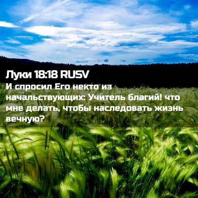 Picture 02 - Луки 18:18 RUSV - И спросил Его некто из - Bible Verse Picture