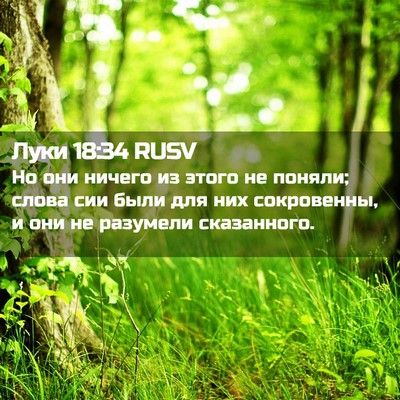Picture 02 - Луки 18:34 RUSV - Но они ничего из этого не - Bible Verse Picture