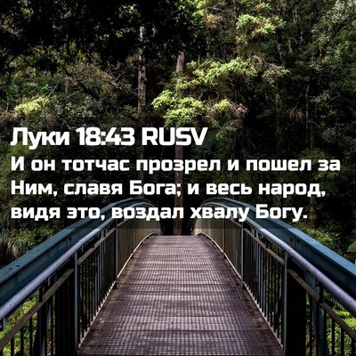 Picture 02 - Луки 18:43 RUSV - И он тотчас прозрел и пошел - Bible Verse Picture