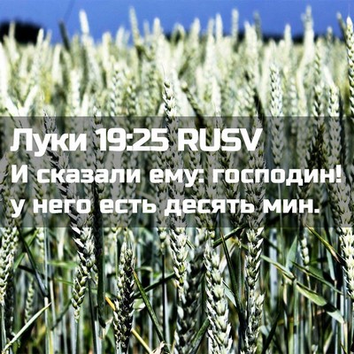 Picture 02 - Луки 19:25 RUSV - И сказали ему: господин! у - Bible Verse Picture