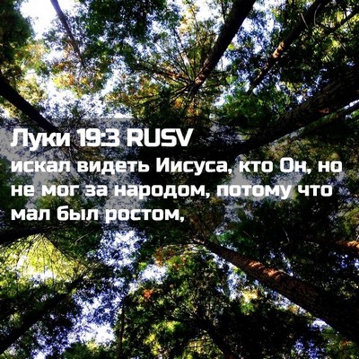 Picture 02 - Луки 19:3 RUSV - искал видеть Иисуса, кто - Bible Verse Picture