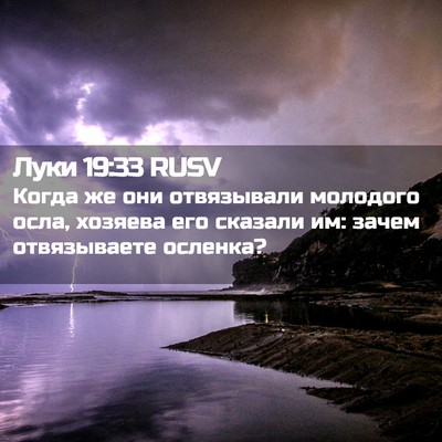 Picture 02 - Луки 19:33 RUSV - Когда же они отвязывали - Bible Verse Picture