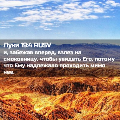 Picture 02 - Луки 19:4 RUSV - и, забежав вперед, взлез на - Bible Verse Picture