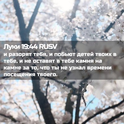 Picture 02 - Луки 19:44 RUSV - и разорят тебя, и побьют - Bible Verse Picture