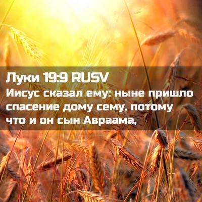 Picture 02 - Луки 19:9 RUSV - Иисус сказал ему: ныне - Bible Verse Picture