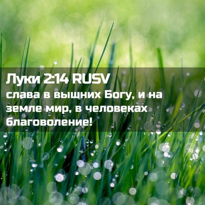 Picture 02 - Луки 2:14 RUSV - слава в вышних Богу, и на - Bible Verse Picture