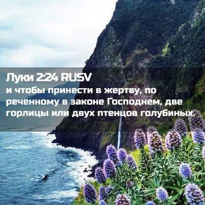 Picture 02 - Луки 2:24 RUSV - и чтобы принести в жертву, - Bible Verse Picture