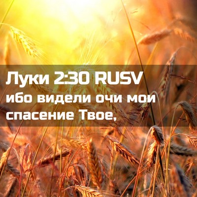 Picture 02 - Луки 2:30 RUSV - ибо видели очи мои - Bible Verse Picture