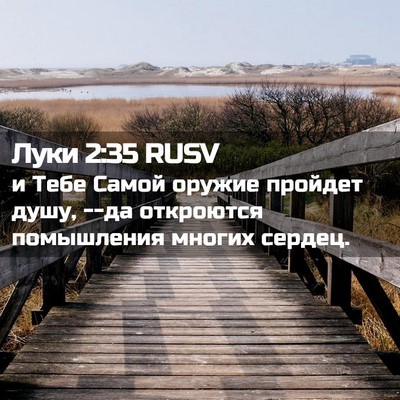 Picture 02 - Луки 2:35 RUSV - и Тебе Самой оружие - Bible Verse Picture