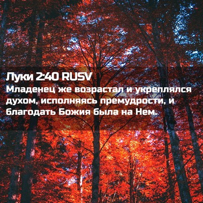 Picture 02 - Луки 2:40 RUSV - Младенец же возрастал и - Bible Verse Picture