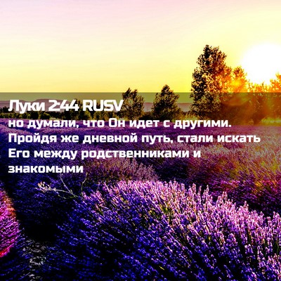 Picture 02 - Луки 2:44 RUSV - но думали, что Он идет с - Bible Verse Picture