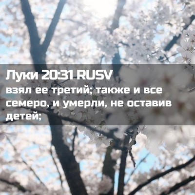 Picture 02 - Луки 20:31 RUSV - взял ее третий; также и все - Bible Verse Picture