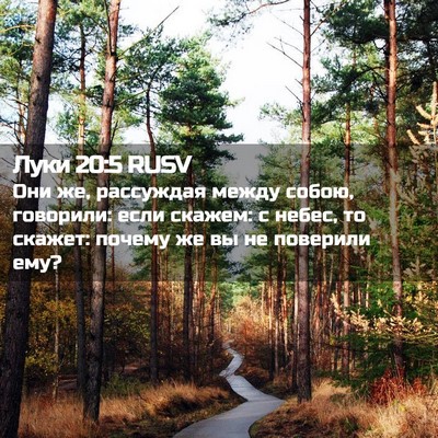 Picture 02 - Луки 20:5 RUSV - Они же, рассуждая между - Bible Verse Picture