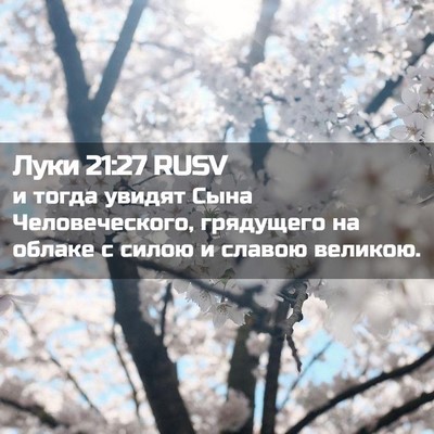Picture 02 - Луки 21:27 RUSV - и тогда увидят Сына - Bible Verse Picture