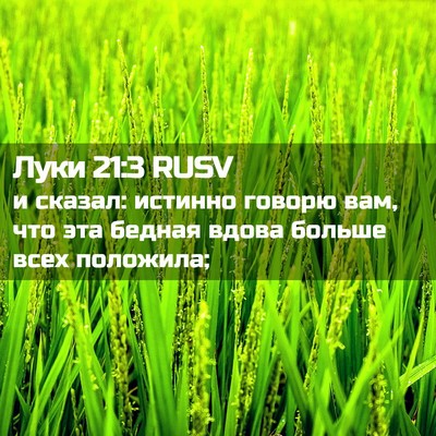Picture 02 - Луки 21:3 RUSV - и сказал: истинно говорю - Bible Verse Picture