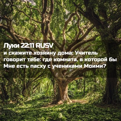 Picture 02 - Луки 22:11 RUSV - и скажите хозяину дома: - Bible Verse Picture
