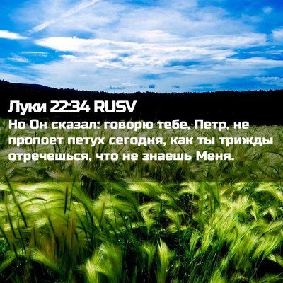 Picture 02 - Луки 22:34 RUSV - Но Он сказал: говорю тебе, - Bible Verse Picture