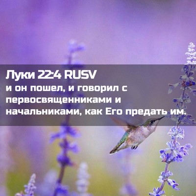 Picture 02 - Луки 22:4 RUSV - и он пошел, и говорил с - Bible Verse Picture