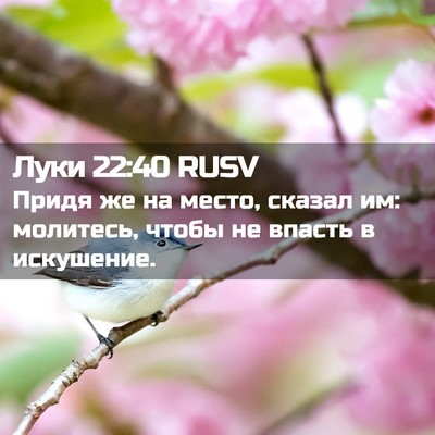 Picture 02 - Луки 22:40 RUSV - Придя же на место, сказал - Bible Verse Picture