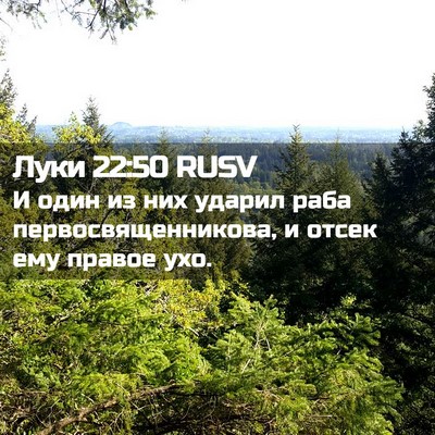 Picture 02 - Луки 22:50 RUSV - И один из них ударил раба - Bible Verse Picture