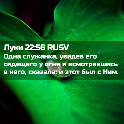 Picture 02 - Луки 22:56 RUSV - Одна служанка, увидев его - Bible Verse Picture