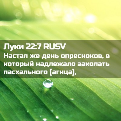 Picture 02 - Луки 22:7 RUSV - Настал же день опресноков, - Bible Verse Picture