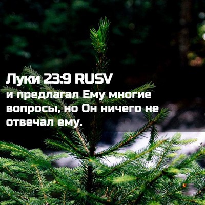 Picture 02 - Луки 23:9 RUSV - и предлагал Ему многие - Bible Verse Picture