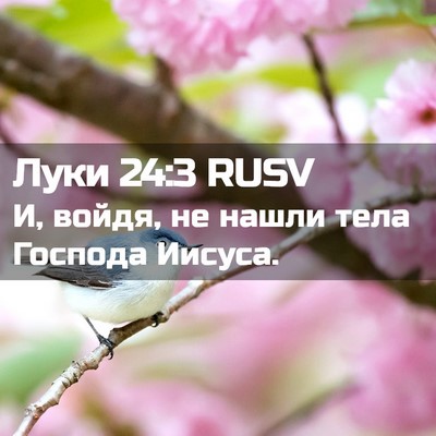 Picture 02 - Луки 24:3 RUSV - И, войдя, не нашли тела - Bible Verse Picture