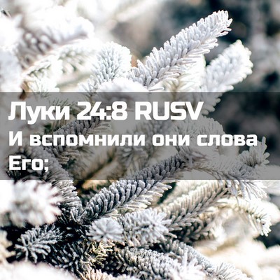 Picture 02 - Луки 24:8 RUSV - И вспомнили они слова - Bible Verse Picture