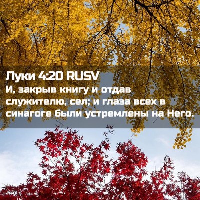 Picture 02 - Луки 4:20 RUSV - И, закрыв книгу и отдав - Bible Verse Picture