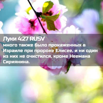 Picture 02 - Луки 4:27 RUSV - много также было - Bible Verse Picture
