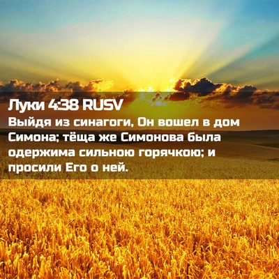 Picture 02 - Луки 4:38 RUSV - Выйдя из синагоги, Он вошел - Bible Verse Picture