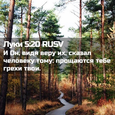 Picture 02 - Луки 5:20 RUSV - И Он, видя веру их, сказал - Bible Verse Picture