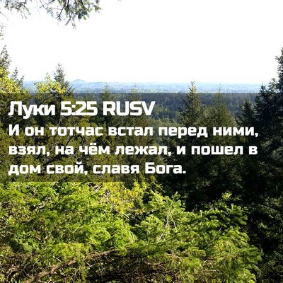 Picture 02 - Луки 5:25 RUSV - И он тотчас встал перед - Bible Verse Picture
