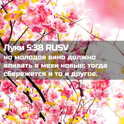 Picture 02 - Луки 5:38 RUSV - но молодое вино должно - Bible Verse Picture