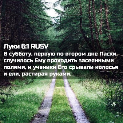 Picture 02 - Луки 6:1 RUSV - В субботу, первую по втором - Bible Verse Picture