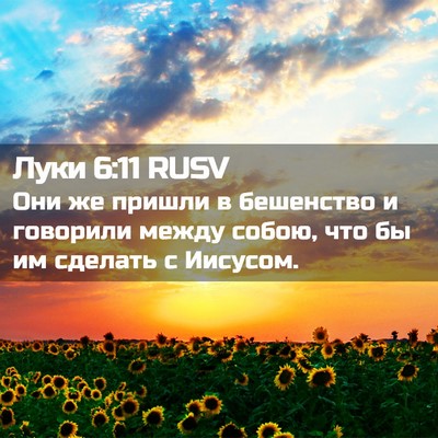 Picture 02 - Луки 6:11 RUSV - Они же пришли в бешенство и - Bible Verse Picture