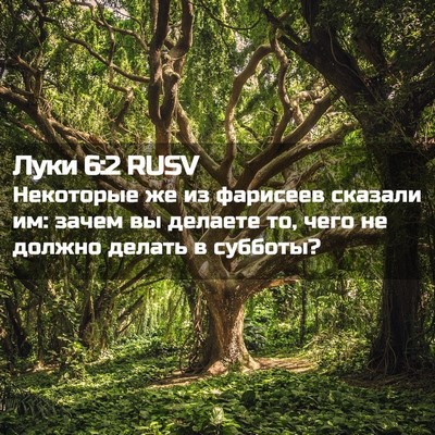 Picture 02 - Луки 6:2 RUSV - Некоторые же из фарисеев - Bible Verse Picture