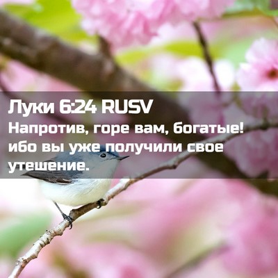 Picture 02 - Луки 6:24 RUSV - Напротив, горе вам, - Bible Verse Picture