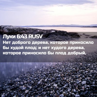 Picture 02 - Луки 6:43 RUSV - Нет доброго дерева, - Bible Verse Picture