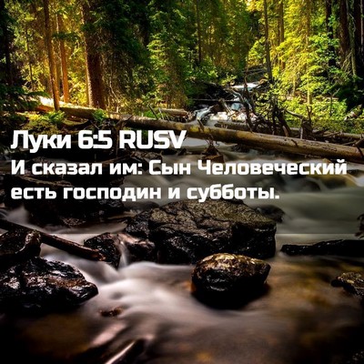 Picture 02 - Луки 6:5 RUSV - И сказал им: Сын - Bible Verse Picture