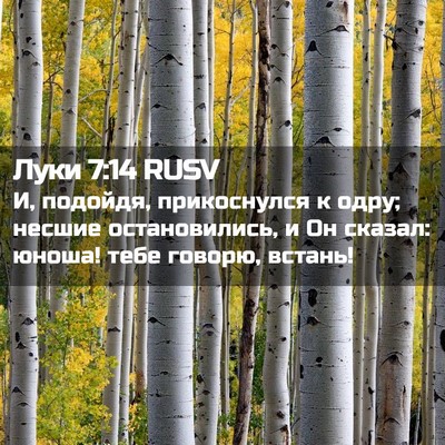 Picture 02 - Луки 7:14 RUSV - И, подойдя, прикоснулся к - Bible Verse Picture