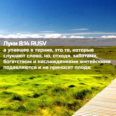 Picture 02 - Луки 8:14 RUSV - а упавшее в терние, это те, - Bible Verse Picture